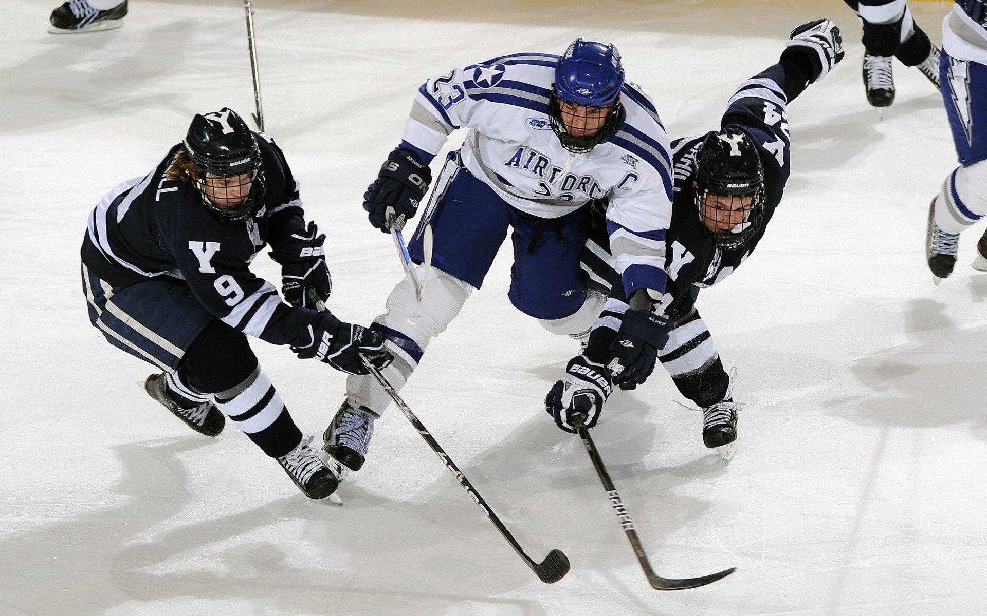 国家体育产业中心发布体育文化节参展机构邀请函,体育文化展览